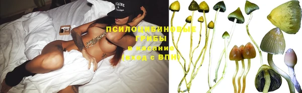 jwh Алзамай