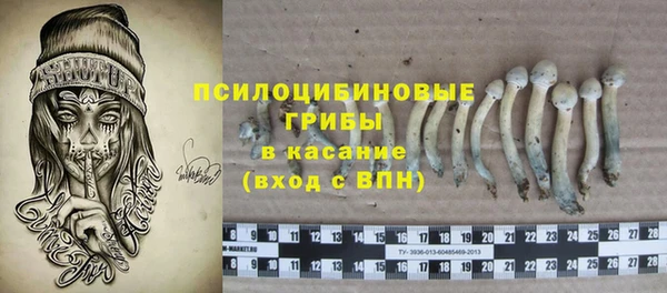 дживик Алексин